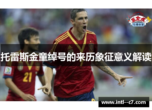 托雷斯金童绰号的来历象征意义解读 托雷斯金童绰号的来历象征意义解读