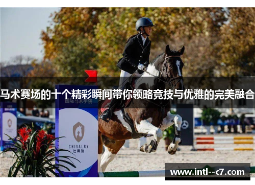 马术赛场的十个精彩瞬间带你领略竞技与优雅的完美融合