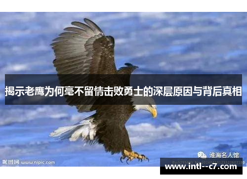揭示老鹰为何毫不留情击败勇士的深层原因与背后真相 揭示老鹰为何毫不留情击败勇士的深层原因与背后真相
