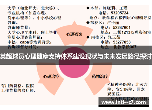 英超球员心理健康支持体系建设现状与未来发展路径探讨 英超球员心理健康支持体系建设现状与未来发展路径探讨