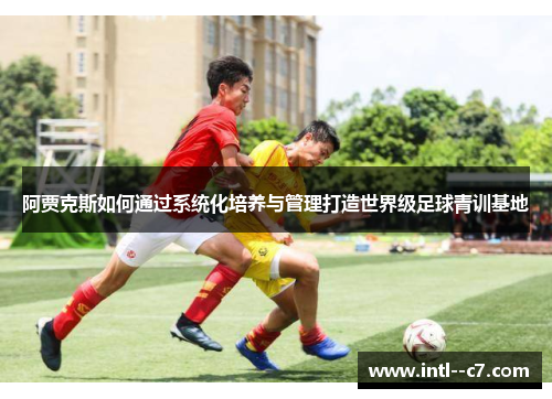 阿贾克斯如何通过系统化培养与管理打造世界级足球青训基地 阿贾克斯如何通过系统化培养与管理打造世界级足球青训基地