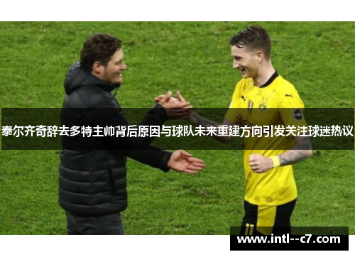泰尔齐奇辞去多特主帅背后原因与球队未来重建方向引发关注球迷热议