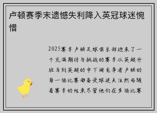 卢顿赛季末遗憾失利降入英冠球迷惋惜